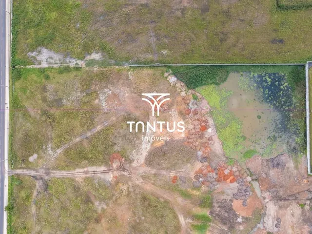 Terreno para alugar, no bairro Ipê em São José Dos Pinhais