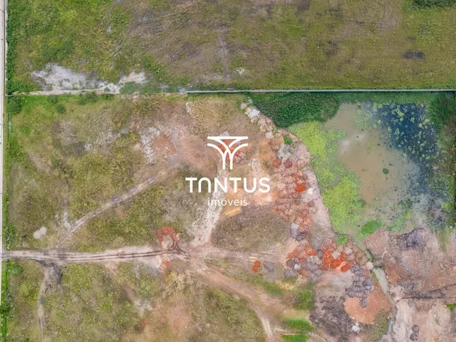 Terreno para alugar, no bairro Ipê em São José Dos Pinhais