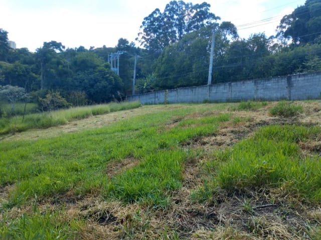 Terreno com 7900m², à venda, no bairro Jardim Ísis em Cotia