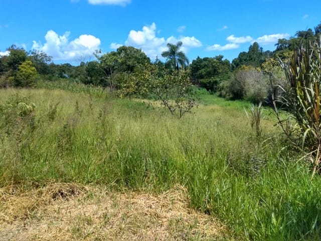 Terreno com 7900m², à venda, no bairro Jardim Ísis em Cotia