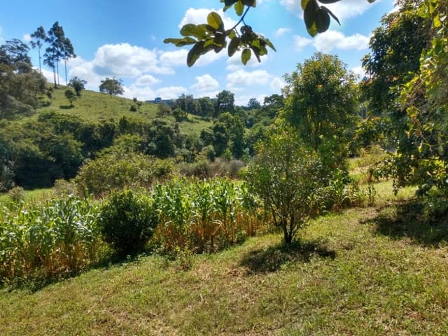 Terreno com 7900m², à venda, no bairro Jardim Ísis em Cotia