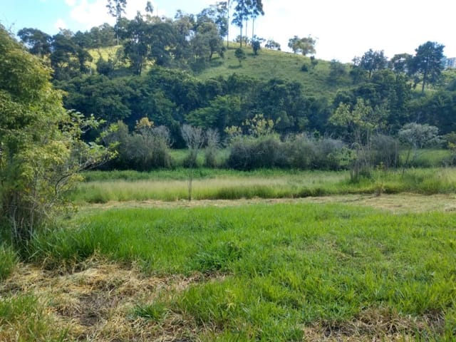 Terreno com 7900m², à venda, no bairro Jardim Ísis em Cotia