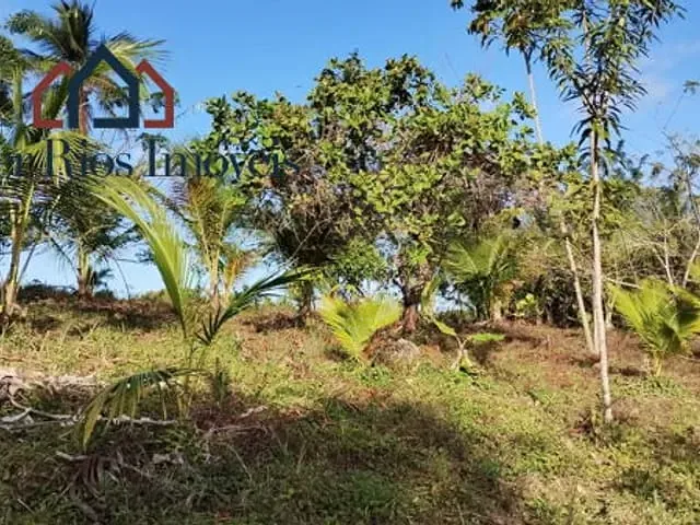 Terreno com 15000m², à venda, no bairro Zona Rural em Serra Grande