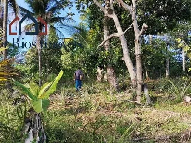 Terreno com 15000m², à venda, no bairro Zona Rural em Serra Grande