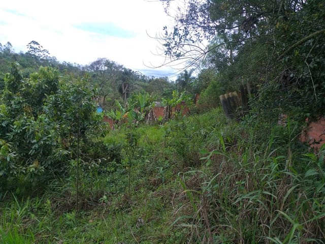 Terreno com 200m², à venda, no bairro Vila Moraes em Mogi das Cruzes