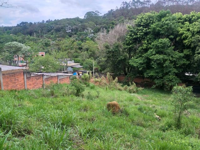 Terreno com 200m², à venda, no bairro Vila Moraes em Mogi das Cruzes