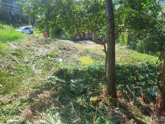 Terreno com 280m², à venda, no bairro Armação do Pântano do Sul em Florianópolis