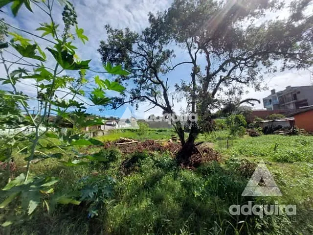 Terreno com 490m², à venda, no bairro Oficinas em Ponta Grossa