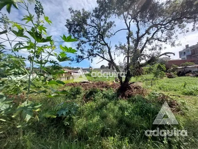 Terreno com 490m², à venda, no bairro Oficinas em Ponta Grossa