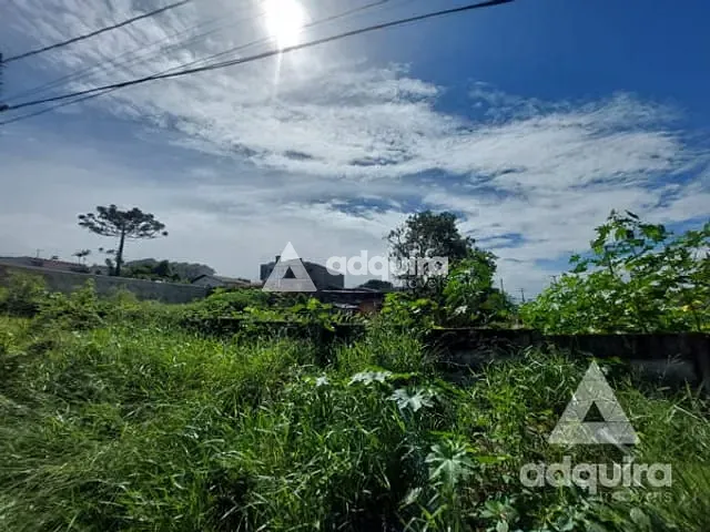 Terreno com 490m², à venda, no bairro Oficinas em Ponta Grossa