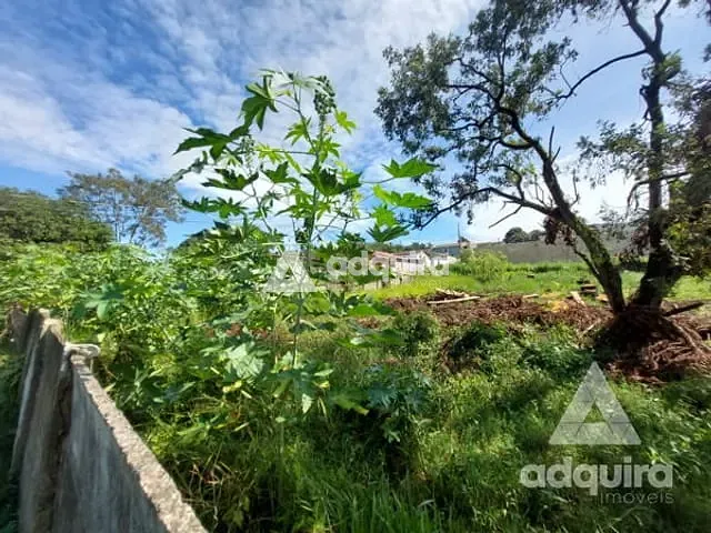 Terreno com 490m², à venda, no bairro Oficinas em Ponta Grossa