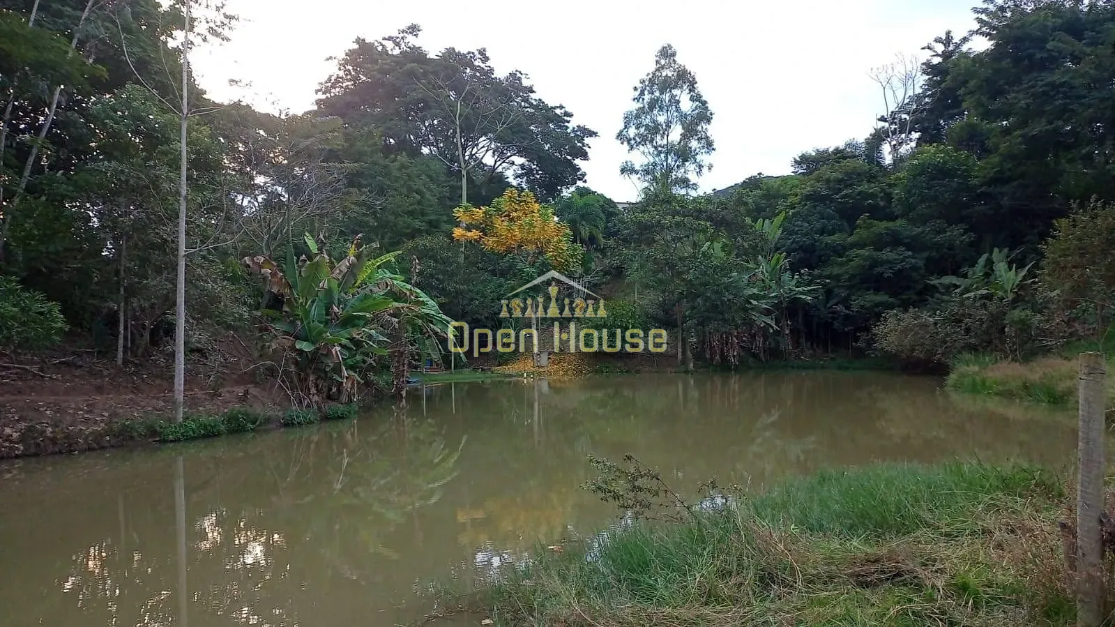 Terreno, 3000 m² - Foto 3
