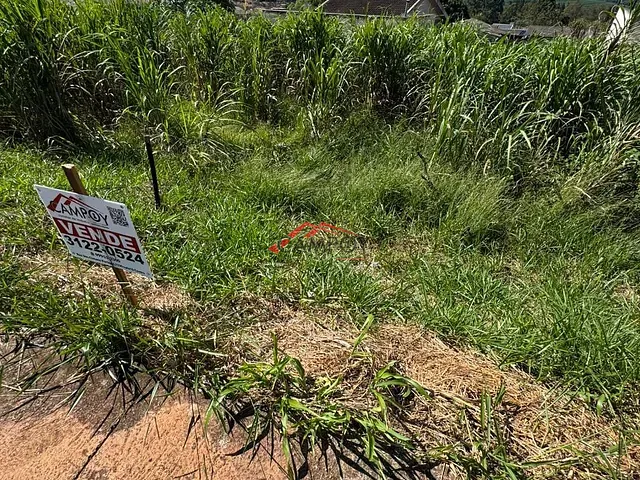 Terreno com 220m², à venda, no bairro JARDIM SANTIAGO em Apucarana