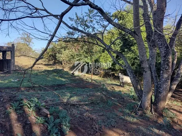 Terreno com 3607m², à venda, no bairro Fabrício em Uberaba