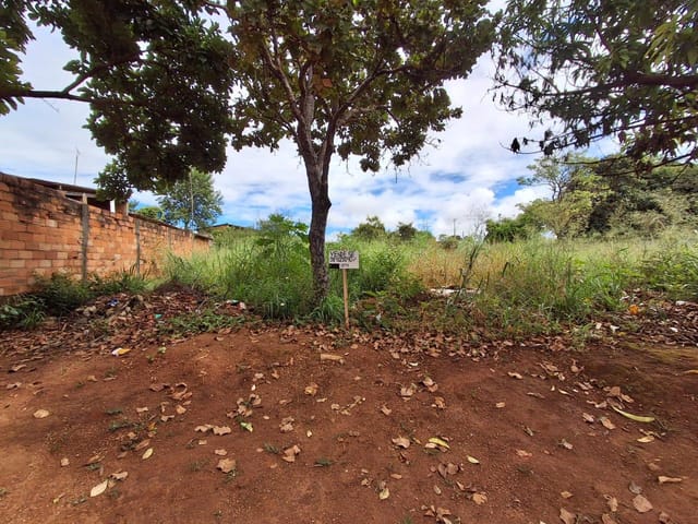 Foto do Terreno - Terreno à venda, Jardim Maranata, Aparecida de Goiânia, GO | Eva Magalhães Imóveis