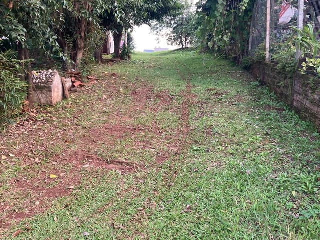 Foto do Terreno - Amplo terreno residencial ou comercial, à venda na Rua Rui Barbosa no Bairro Rui Barbosa no município de Arroio do Meio/RS | Executivo Imóveis