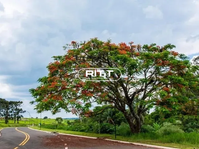 Terreno com 903m², à venda, no bairro Residencial Haras Patente em Jaguariúna