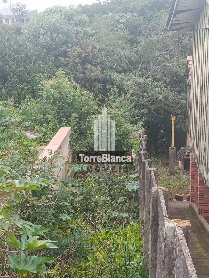 Terreno, 803 m² - Foto 4