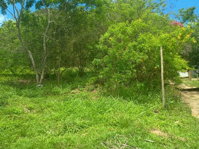 Terreno com 2232m², à venda, no bairro Rincão Mimoso (Itaipuaçu) em Maricá