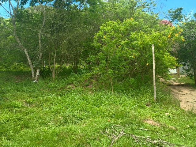 Terreno com 2232m², à venda, no bairro Rincão Mimoso (Itaipuaçu) em Maricá