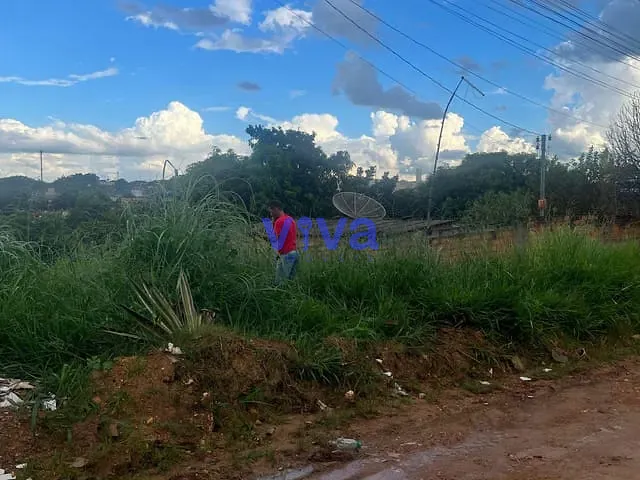 Terreno com 300m², à venda, no bairro Colinas de Homero em Aparecida de Goiânia
