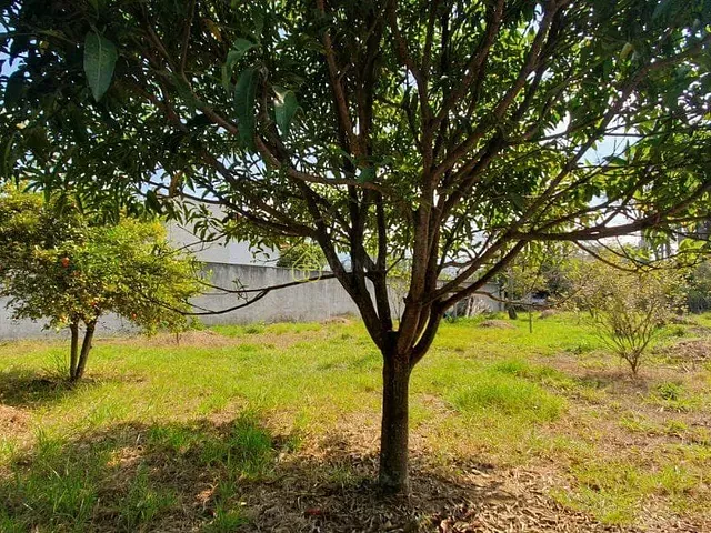 Terreno com 870m², à venda, no bairro Jardim Martinelli (Penedo) em Itatiaia