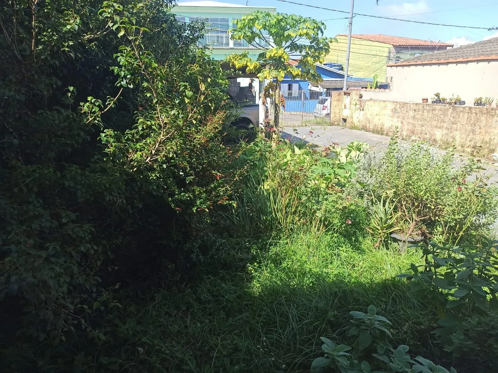 Terreno, 250 m² - Foto 4
