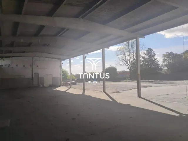 Foto do Terreno - Terreno para alugar 2150 m² em Cidade Industrial, Curitiba | Josué Souza Imóveis