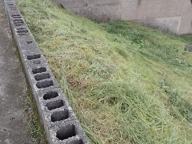 Terreno com 346m², à venda, no bairro Residencial Morumbí em Poços de Caldas