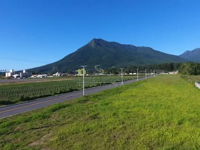 Terreno com 1510m², à venda, no bairro Guarda do Cubatão em Palhoça