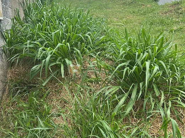Terreno com 150m², à venda, no bairro Chácara Jaguari (Fazendinha) em Santana de Parnaíba