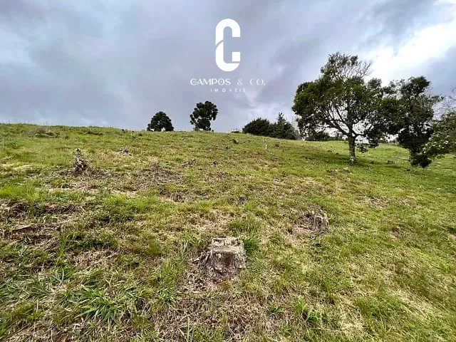 Terreno com 1431m², à venda, no bairro Alto Do Capivari em Campos Do Jordão