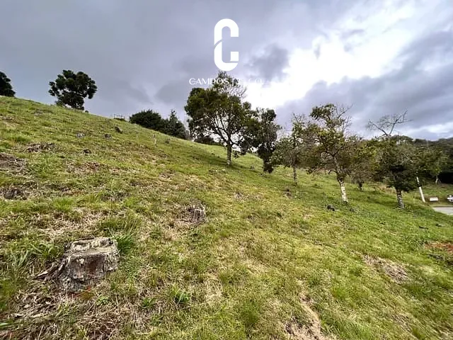 Terreno com 1431m², à venda, no bairro Alto Do Capivari em Campos Do Jordão