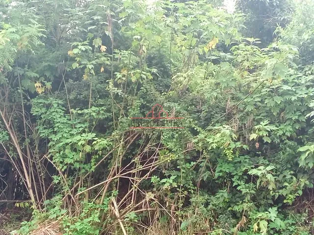Terreno com 500m², à venda, no bairro Chácara do Peroba em Barueri