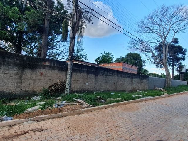 Foto do Terreno - Terreno à Venda no Park Way com 300m²  com 13m de Frente | Jeziel Mendes Consultoria Imobiliária