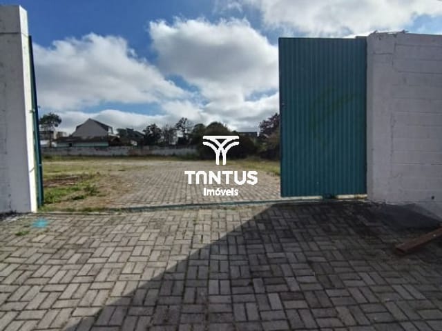 Terreno para alugar, no bairro Centro em Pinhais