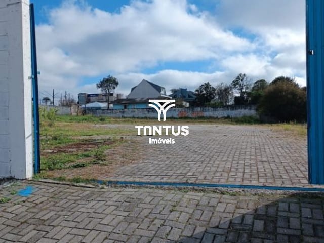 Terreno para alugar, no bairro Centro em Pinhais