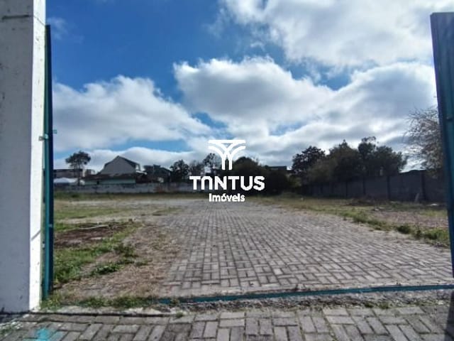 Terreno para alugar, no bairro Centro em Pinhais
