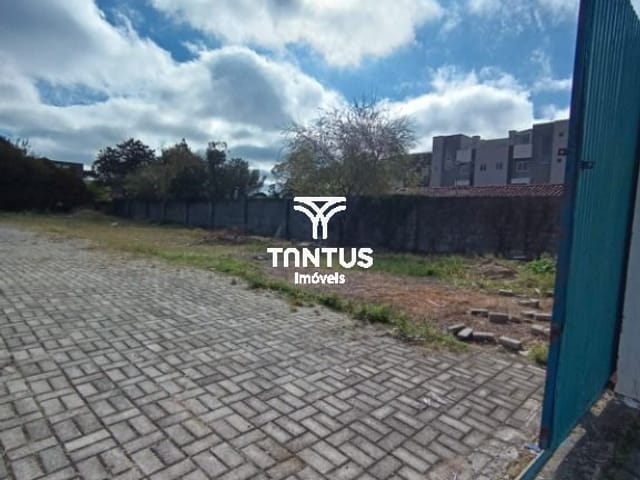 Terreno para alugar, no bairro Centro em Pinhais