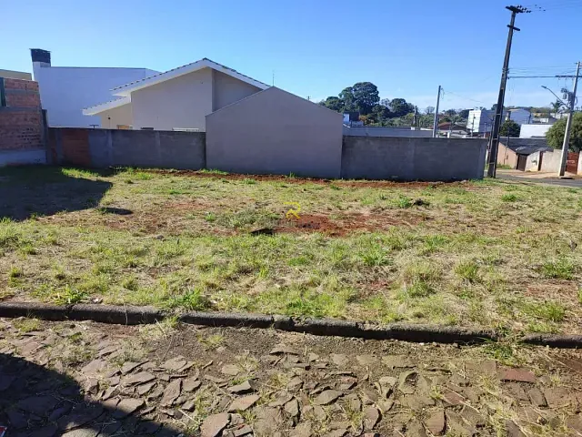 Terreno com 260m², para alugar, no bairro Batel em Guarapuava