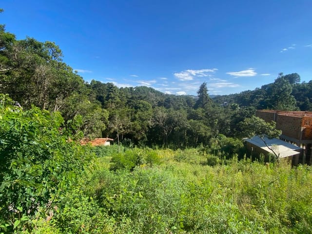 Foto do Terreno - Terreno à venda, 1040 m² por R$ 350.000,00 - Vila Izabel - Campos do Jordão/SP | Campos & Co. Imóveis