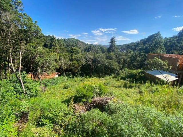 Foto do Terreno - Terreno à venda, 1040 m² por R$ 350.000,00 - Vila Izabel - Campos do Jordão/SP | Campos & Co. Imóveis