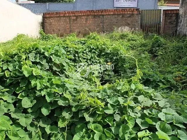 Terreno com 300m², à venda, no bairro Boa Vista em Uberaba