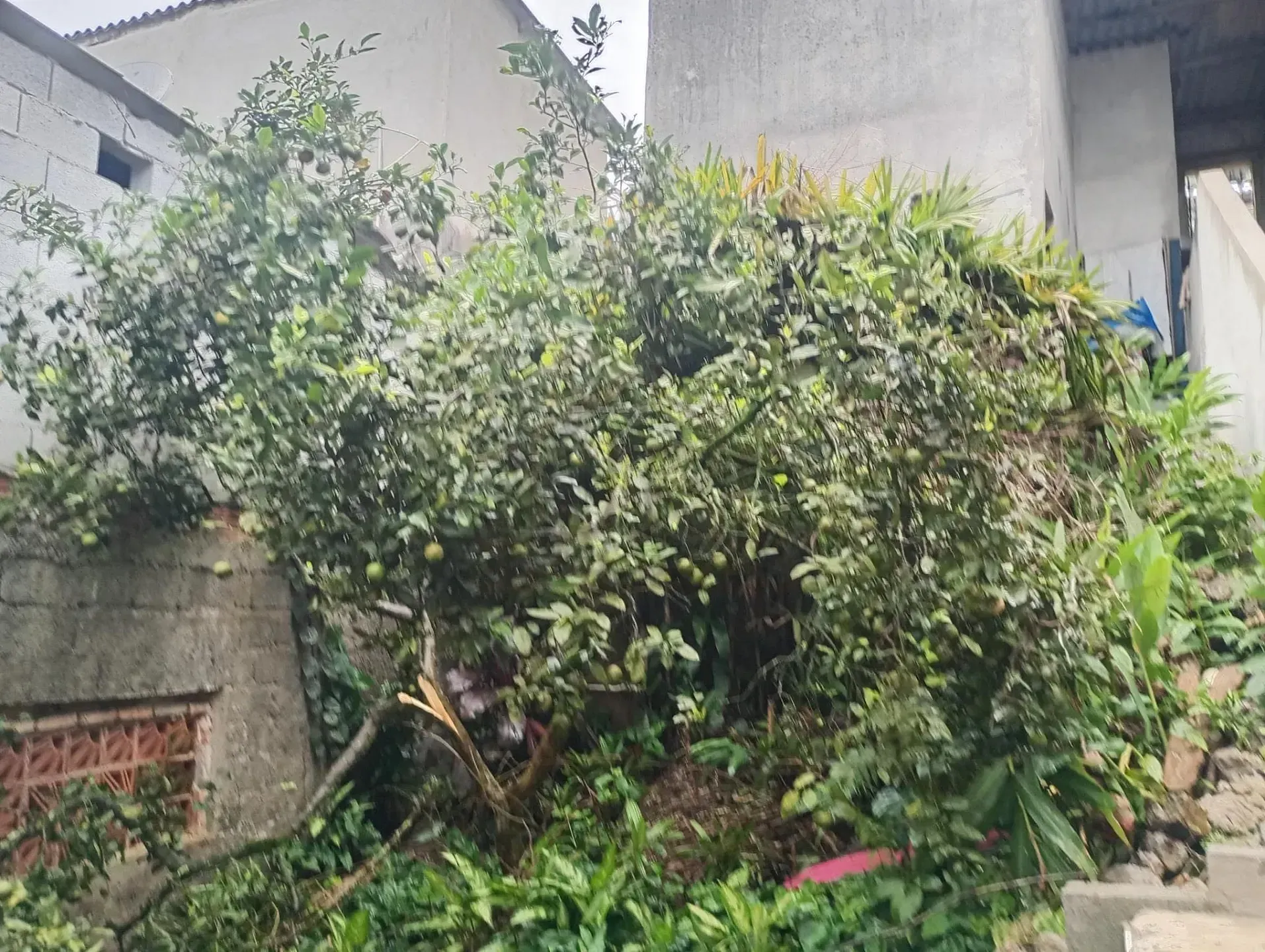 Terreno, 125 m² - Foto 3