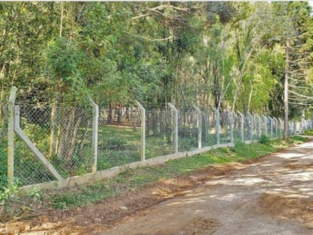 Chácara à Venda, 2.500 m², Arborizada, Próxima ao Asfalto