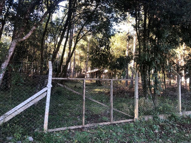 Chácara à Venda, 2.500 m², Arborizada, Próxima ao Asfalto