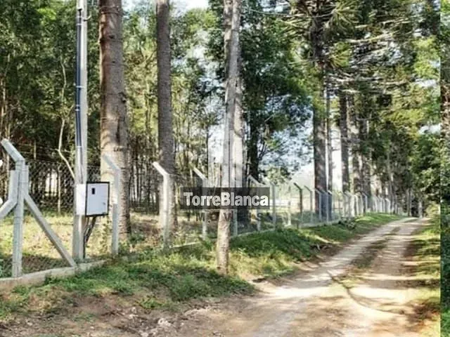 Chácara com 2500m², à venda, no bairro Colônia Dona Luiza em Ponta Grossa