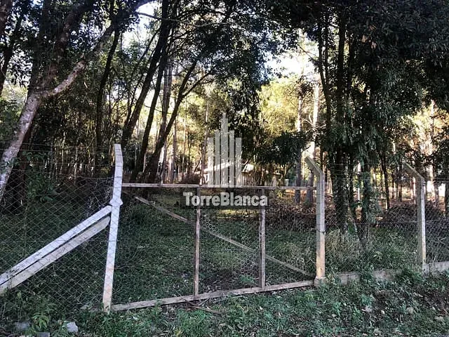 Chácara com 2500m², à venda, no bairro Colônia Dona Luiza em Ponta Grossa