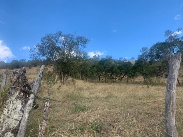 Terreno com 5000m², à venda, no bairro Portão em Cambuí