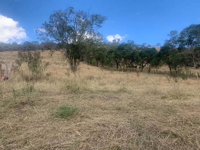 Terreno com 5000m², à venda, no bairro Portão em Cambuí